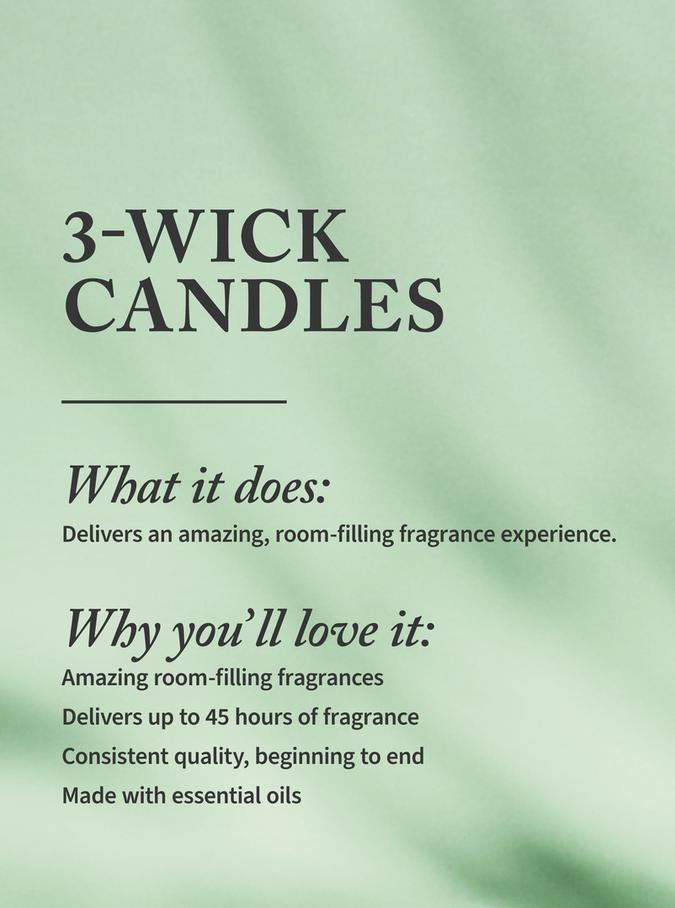 Bath & Body Works Eucalyptus Spearmint 3-Wick Candle, 411 g/ 14.5 oz Buy at Indicrest Image 3