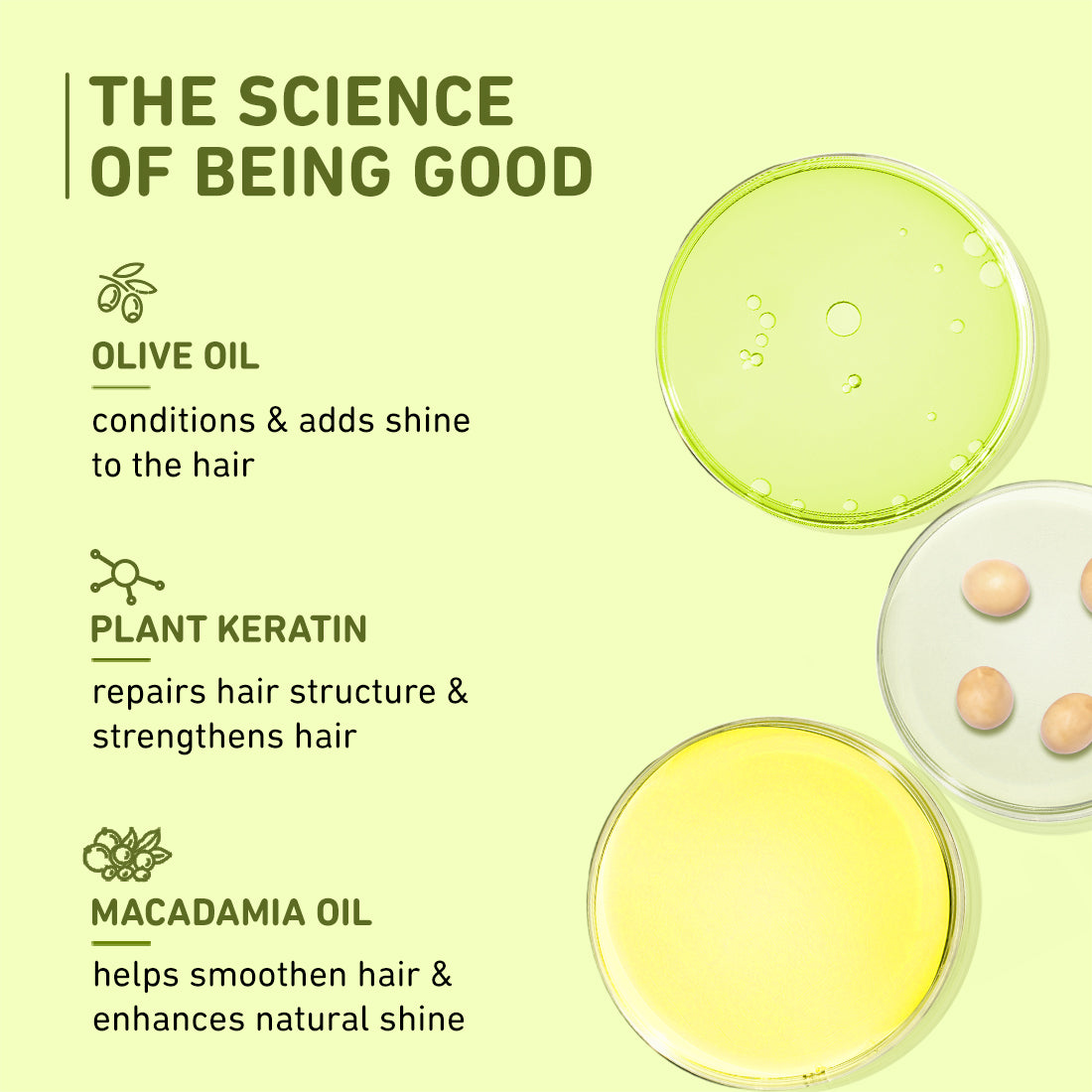 Plum Olive & Macadamia Mega Moisturizing Hair Mask | Repairs Damage | Smoothens Hair, 250g Buy at Indicrest Image 12