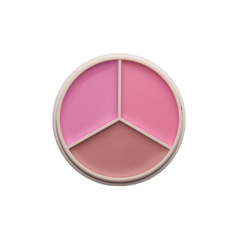 Anastasia Beverly Hills Magic Touch Blush Trio - Pink, 9g, Buy from Indicrest