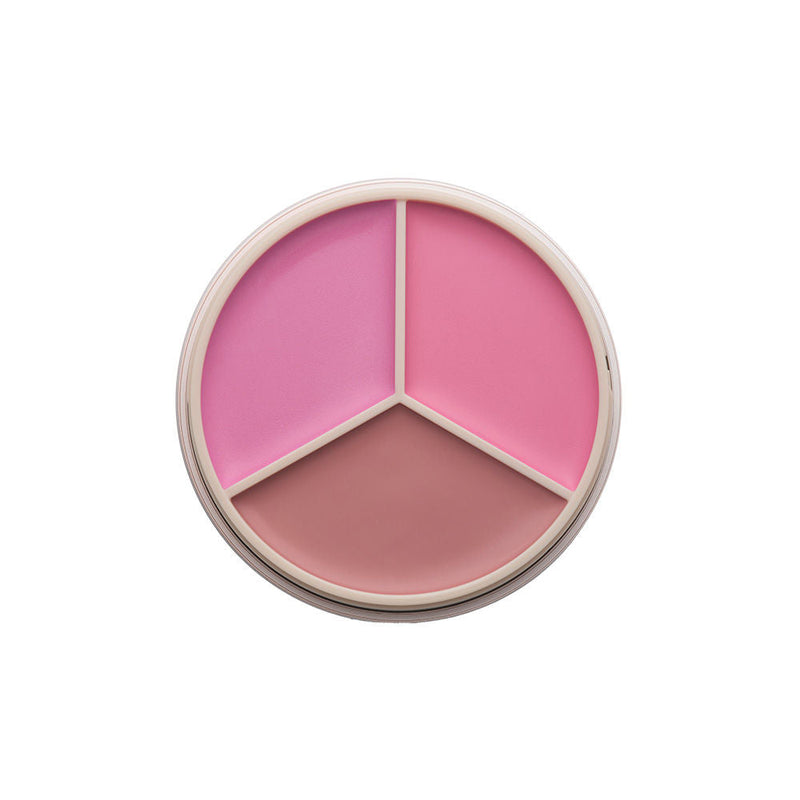 Anastasia Beverly Hills Magic Touch Blush Trio - Pink, 9g, Buy from Indicrest