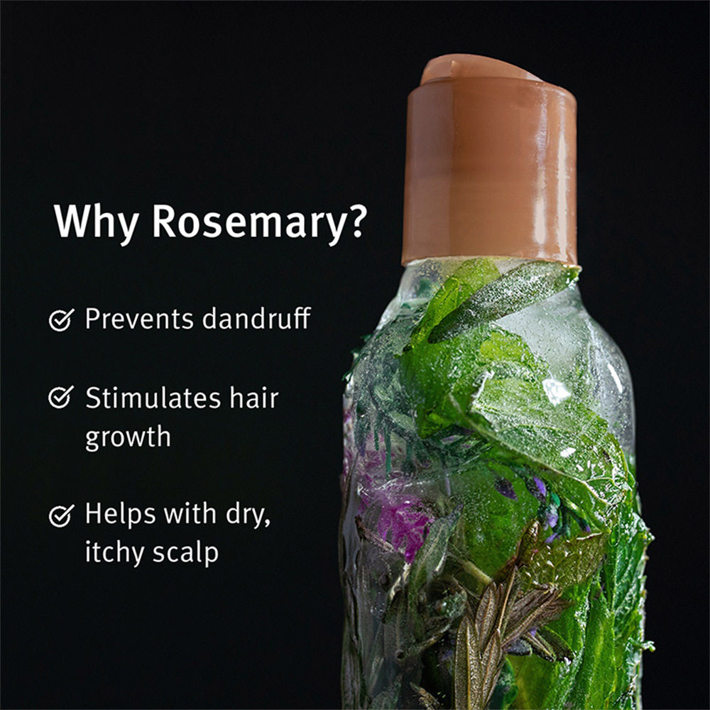 Aveda Rosemary Mint 2 Step Routine - Shampoo & Conditioner Combo, 500ml
