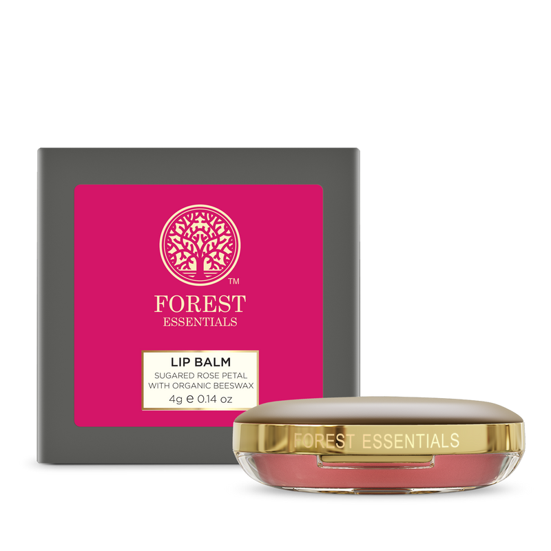 Forest Essentials Luscious Lip Balm With Organic Beeswax For Dry Chapped Lips - Sugared Rose Petal, 4g, Buy from Indicrest