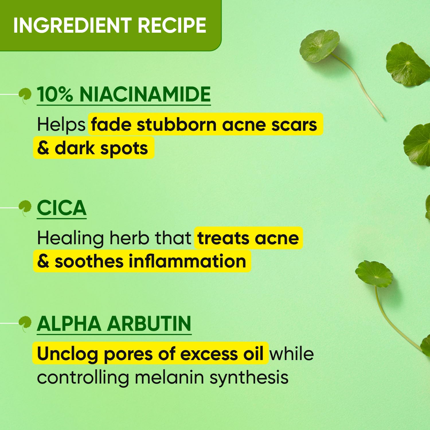 Dot & Key Cica + 10% Niacinamide Face Serum for Oily Skin, 20ml Buy at Indicrest Image 5