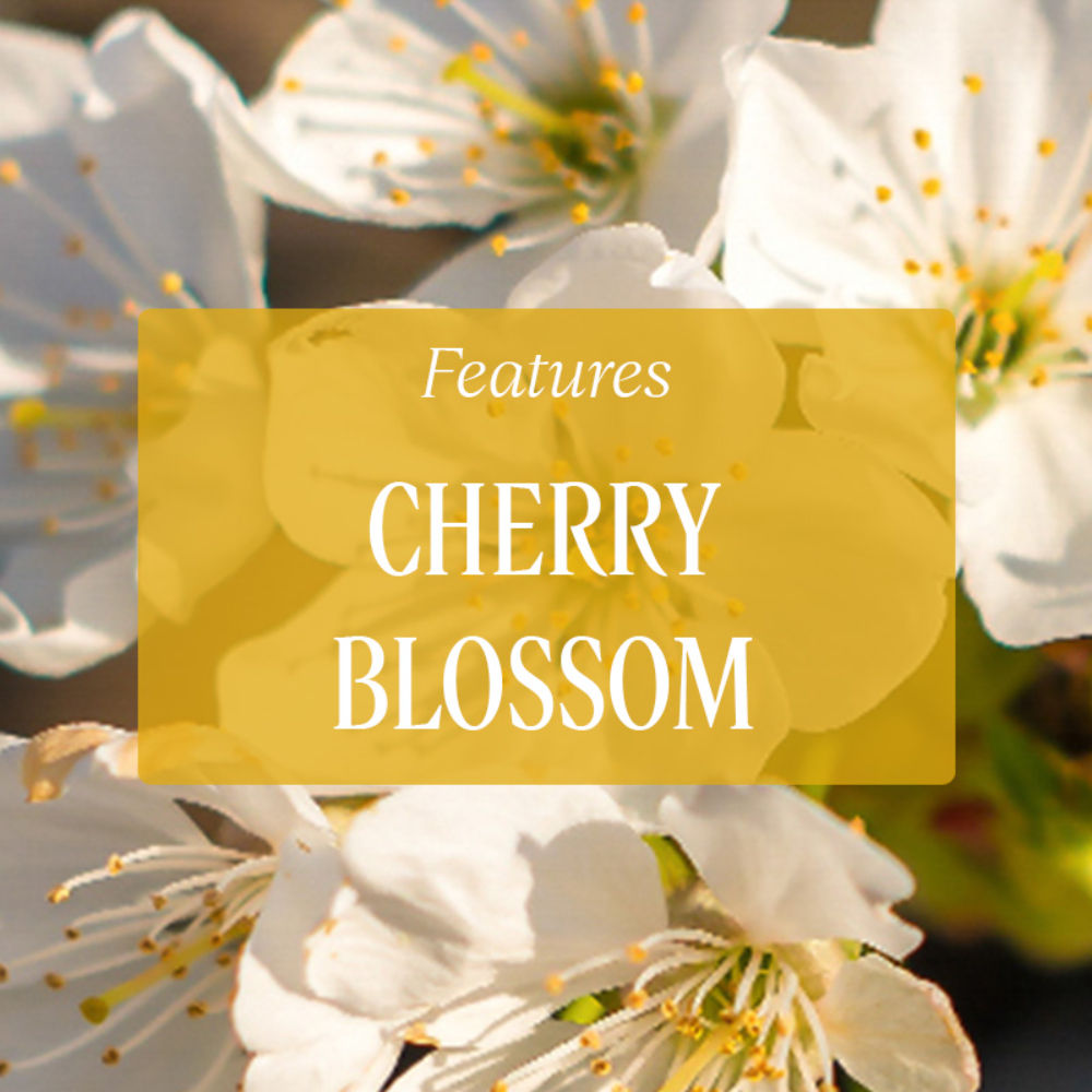 L'Occitane Fleurs De Cerisier Perfumed Hand Soap, Cherry Blossom, 50gm