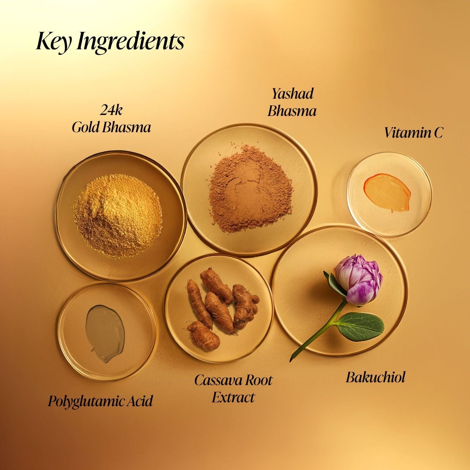 Forest Essentials Soundarya Radiance Day Cream with 24K Gold & SPF 30 PA++, 30g