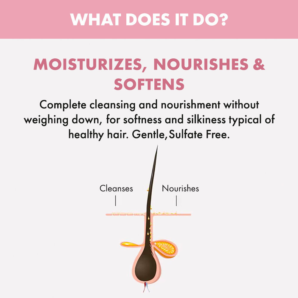 ALFAPARF MILANO Nutritive Hydration Shampoo with linseed/Flaxseeds for Dry & Frizzy, Colored Hair, 250ml