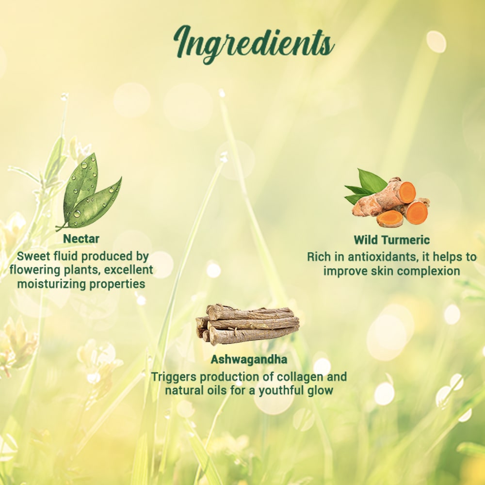 Biotique Morning Nectar Nr&H Moisturizer 190ml - Indicrest Buy at Indicrest Image 4