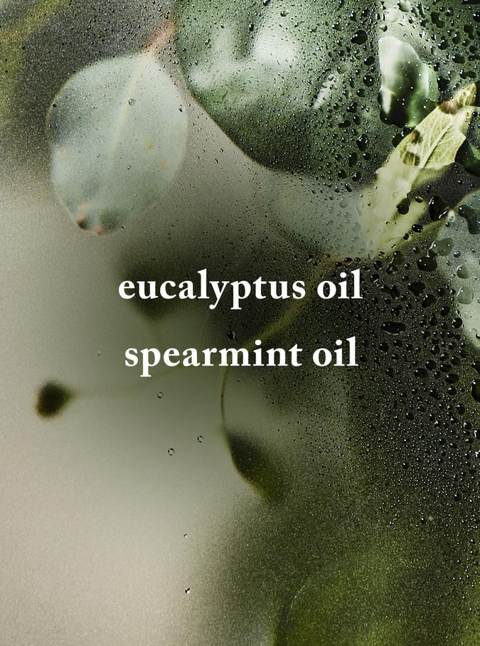 Bath & Body Works Eucalyptus Spearmint 3-Wick Candle, 411 g/ 14.5 oz Buy at Indicrest Image 2