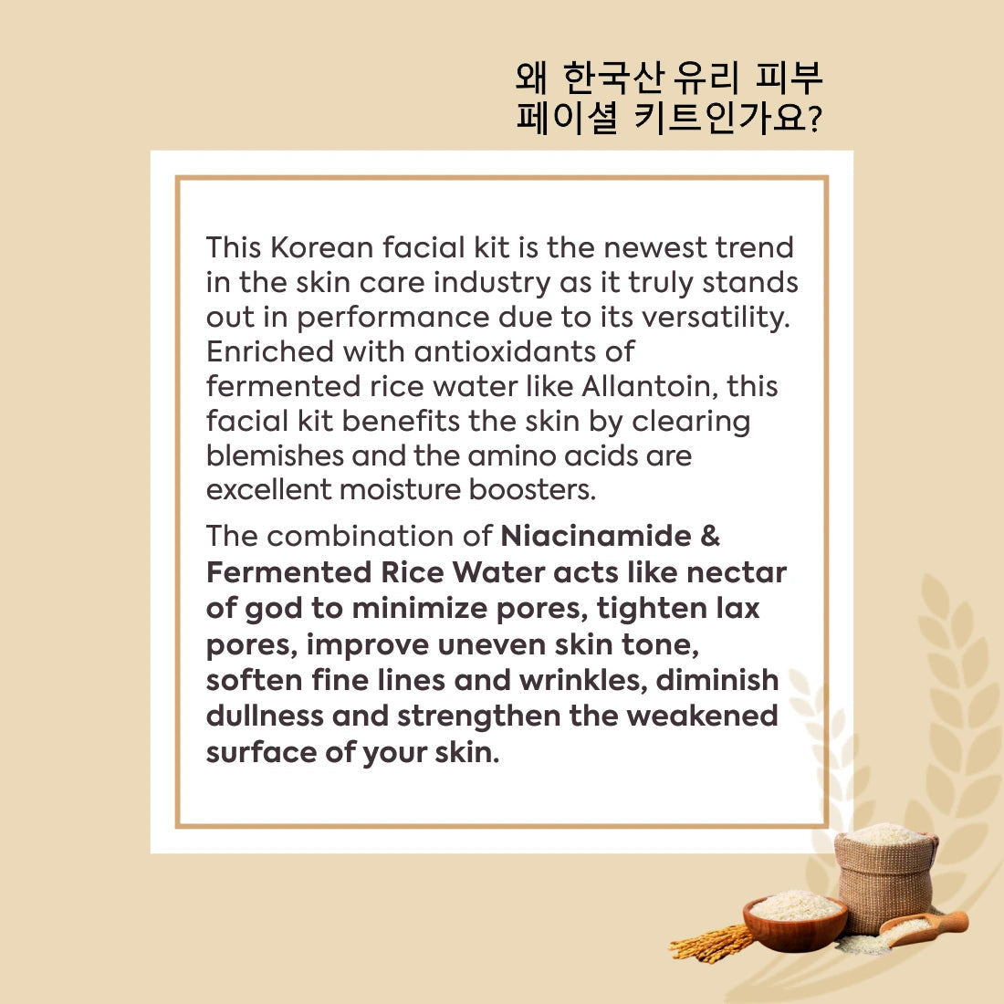 FYC Professional Korean Glass Skin Rice Water Facial Kit, 9 Steps 183g Buy at Indicrest Image 4