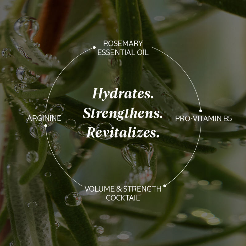 L'Occitane Volume & Strength Conditioner, 250ml