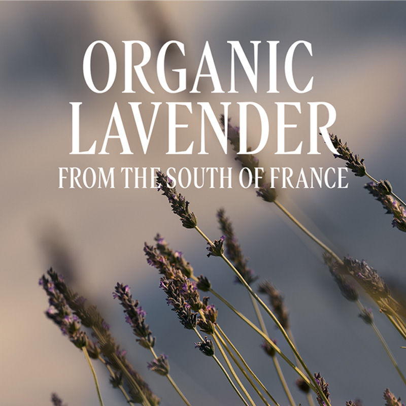 LOccitane Lavande Body Lotion Organic, 250ml